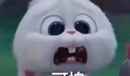 河北吃瓜爆料事件真相,真相与背后的故事